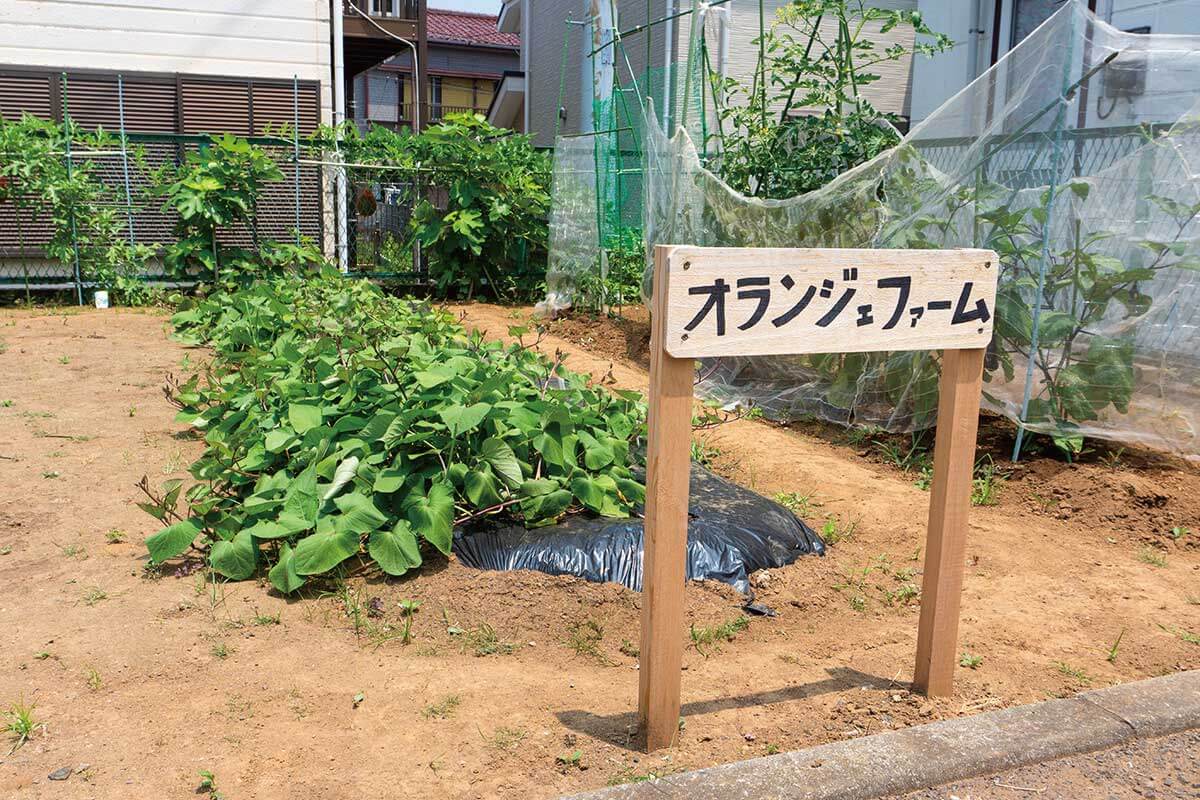 子どもたちの“育てる” 体験を応援！オランジェファームでの収穫体験イベントを実施